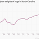 According to government data, the average hog weight when slaughtered in 2013 was 36 pounds heavier than in 1990.